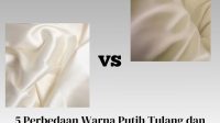 Perbedaan Warna Putih Tulang dan Broken White